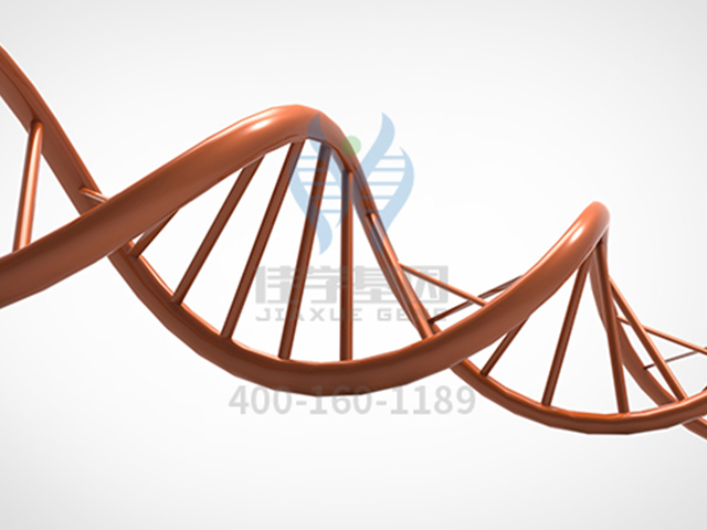 【佳学基因检测】视网膜色素变性有哪些突破性治疗方法呢？